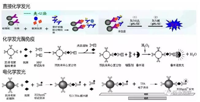 按標(biāo)記物分類的三種化學(xué)發(fā)光方法的原理