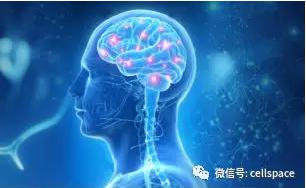 從實際應用出發，讓標志物助力精準診斷