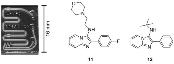 用于合成G蛋白偶聯(lián)受體調(diào)節(jié)化合物的微流控芯片。來自Rodrigues等人的圖片 “通過微流體系統(tǒng)獲得新的化學(xué)實(shí)體。”