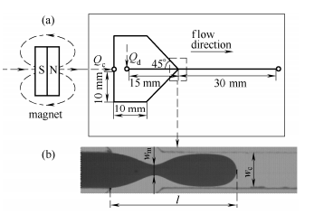  Y 聚焦型微通道結構