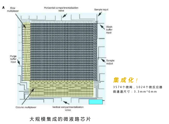 微流控芯片實(shí)驗(yàn)室技術(shù)優(yōu)勢：大規(guī)模集成的微液路芯片