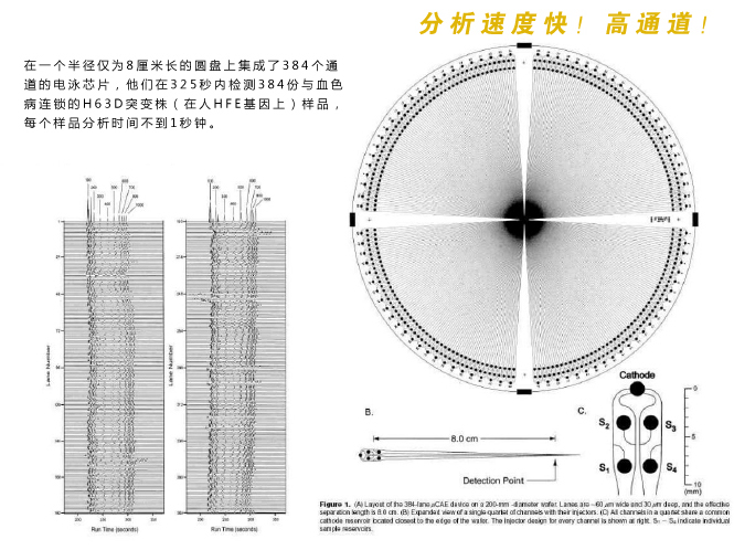 微流控芯片實(shí)驗(yàn)室分析檢測速度快，具有高通道等特性。