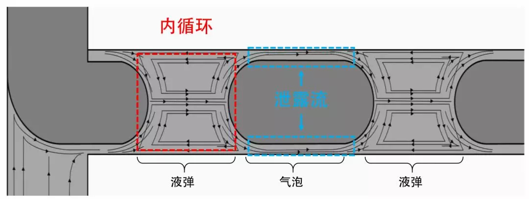 圖4 泄漏流和內循環(huán)示意圖