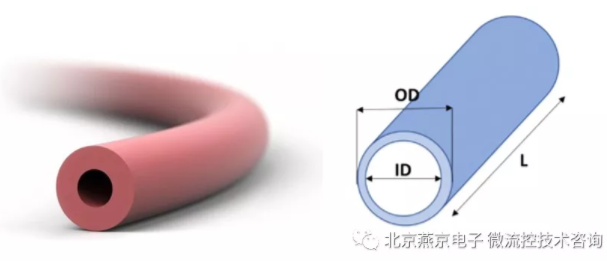 導管示意圖