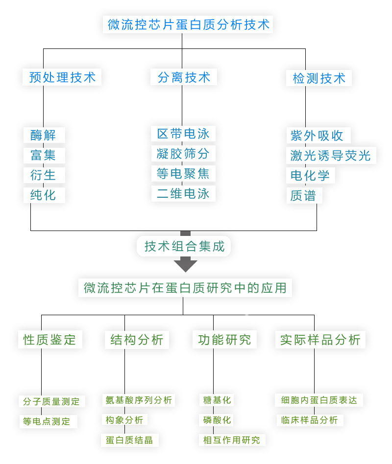 微流控芯片|微流控芯片批量加工